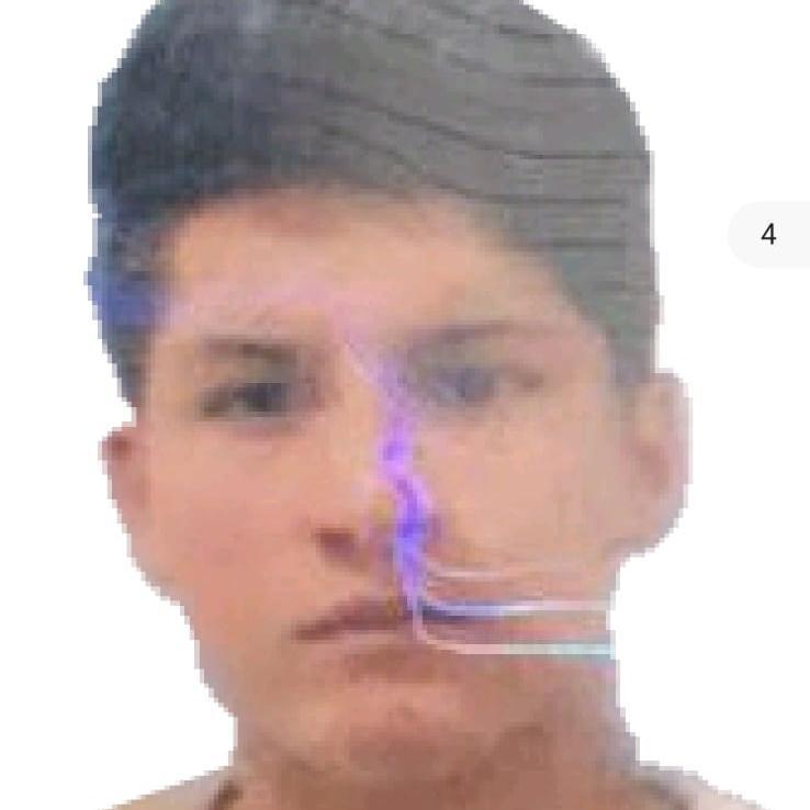 User Image