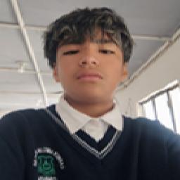 User Image